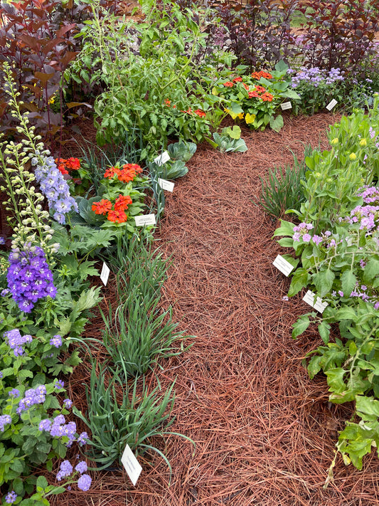 Pine Straw Mulch Pickup - Lewisburg, PA