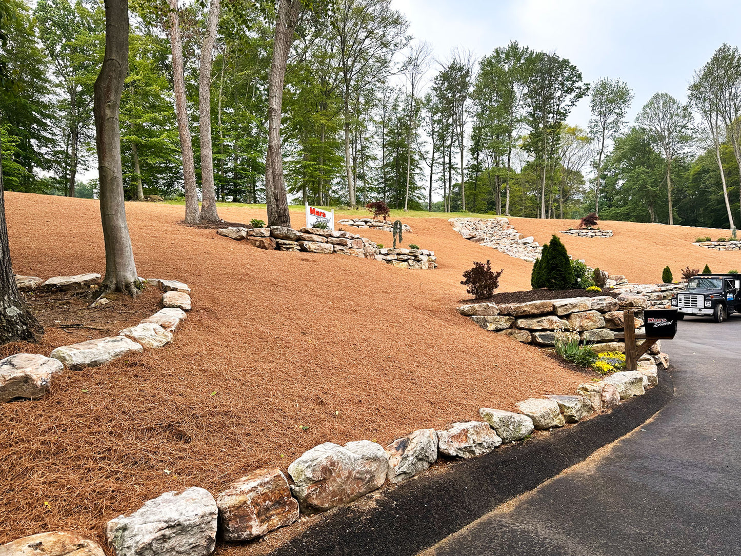 Pine Straw Mulch Ground Cover on Landscape