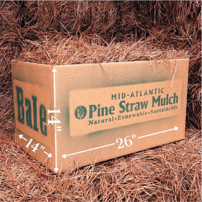 Bale of Pine Straw Mulch Delivery Box Dimensions