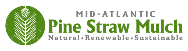 Mid-Atlantic Pine Straw