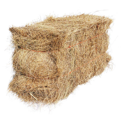 Salt Hay Mulch Bale