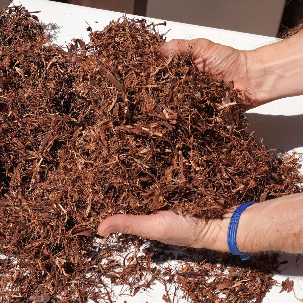 Soft, Light Shredded Pine Cone Mulch in hands