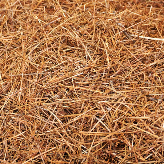 Shredded Pinestraw Mulch Bag