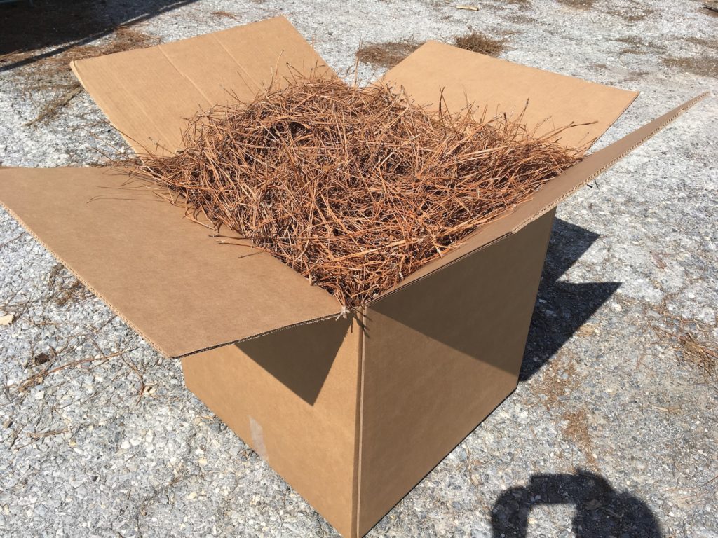 X Large Box 24x24x24 Of Premium Longleaf Pine Straw FREE   Box Of Pine Straw 1 1024x768 