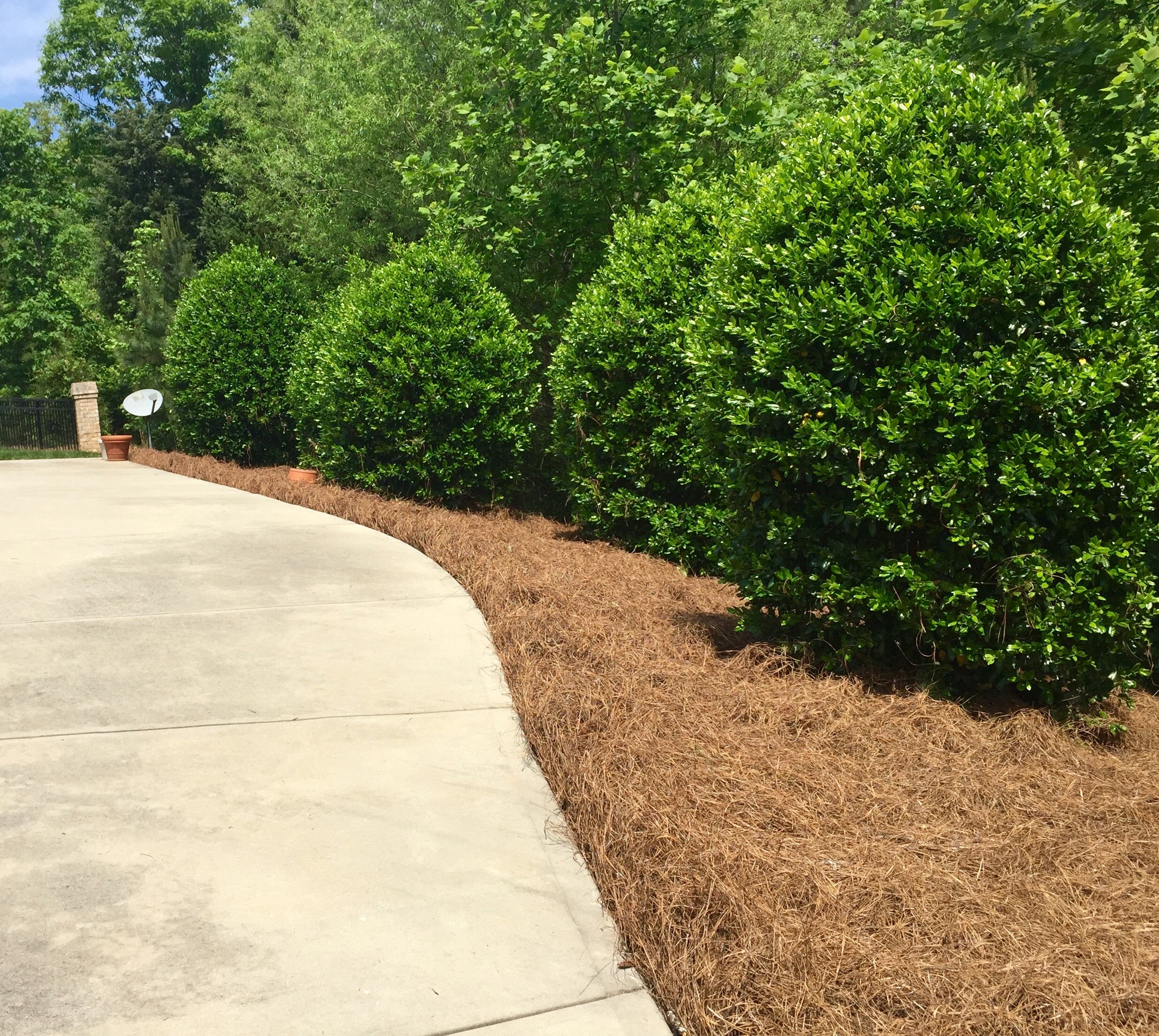 Mid-Atlantic Pine Straw Mulch - Home